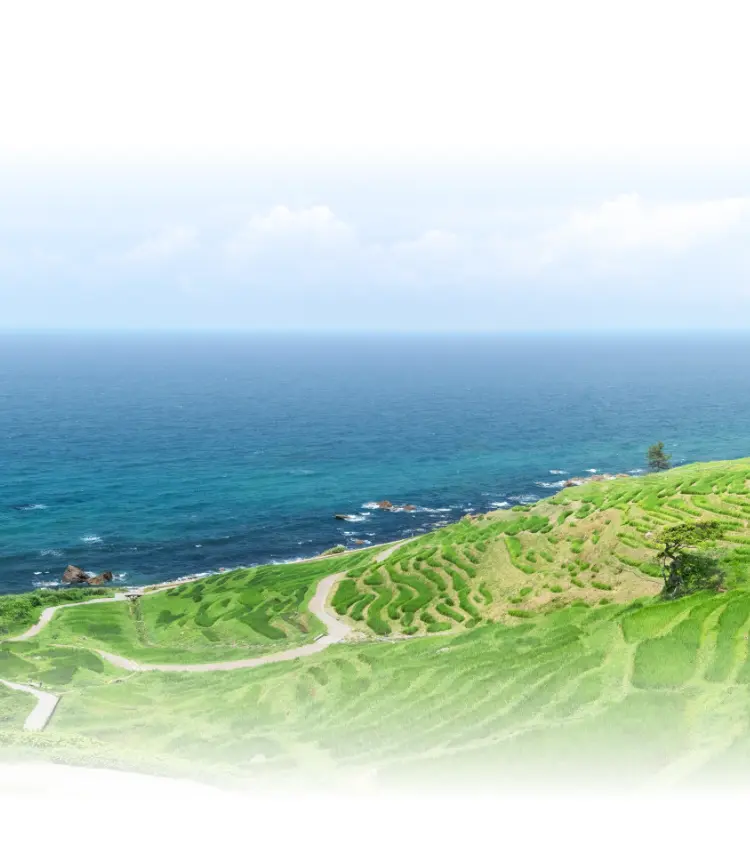 海と棚田の風景